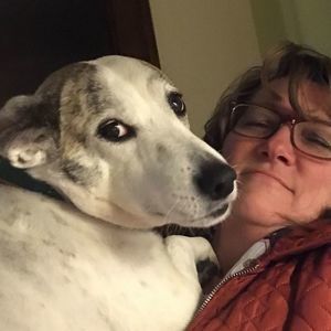 Meet your Posher, Janet